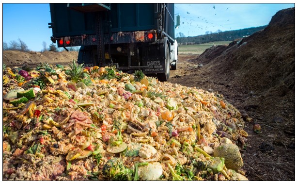 Let’s know more about Food waste Composting!