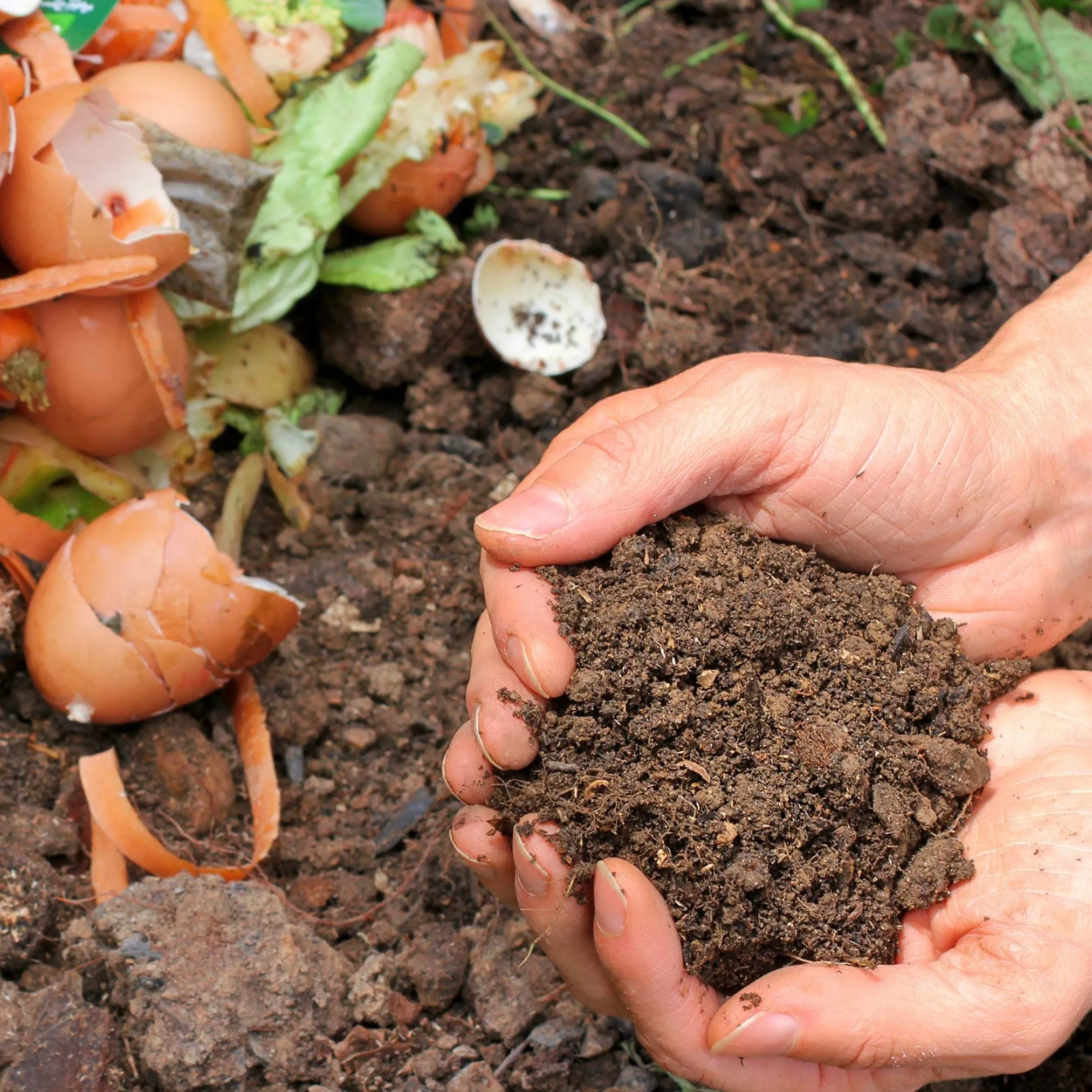 Compost soil